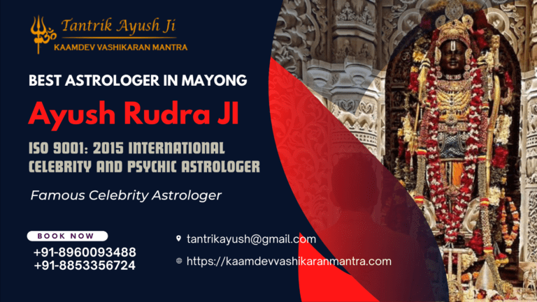 Mystical Journeys: Tantrik Ayush Rudhra ji Astrologer in Mayong