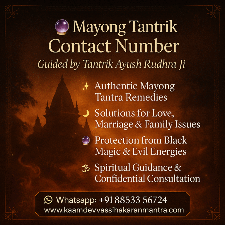 Pregnancy Conceive Related Issues Solutions by Mayong Tantrik Ayush Rudhra Ji